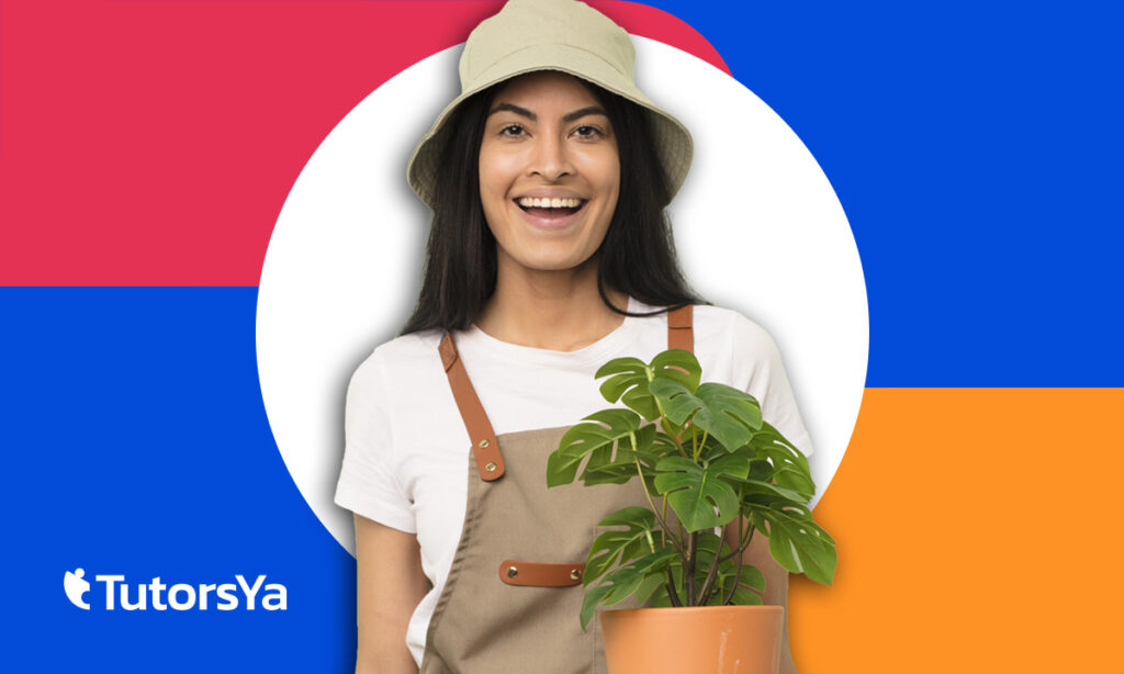 Curso gratis de jardinero: inicia tu camino hacia el jardín