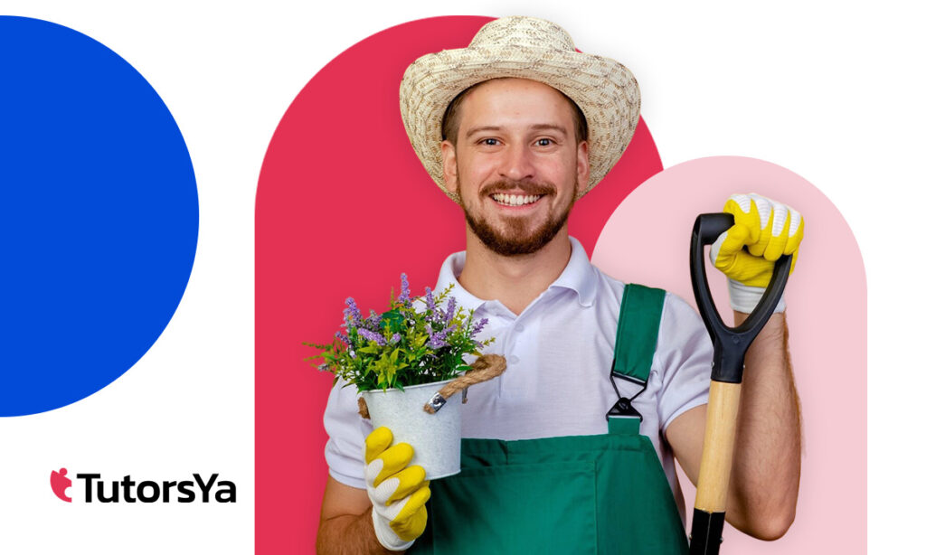 Titulación SEPE: curso de servicios básicos de jardinería con plazas