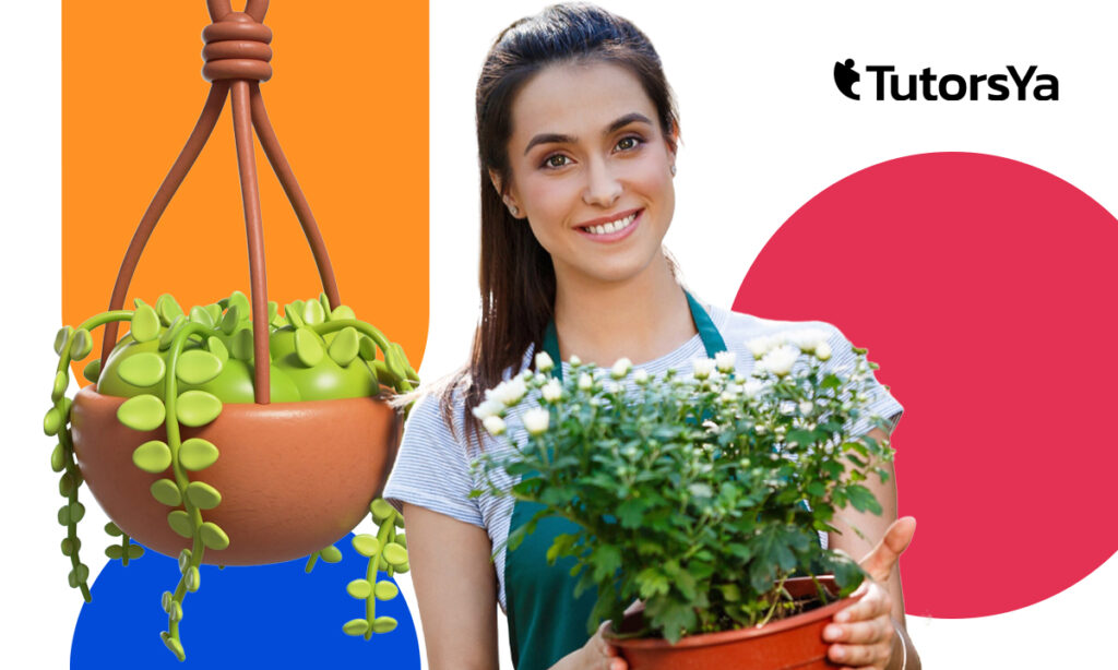 Medio ambiente y jardinería: formación gratis PIE con beca de 10 €/día