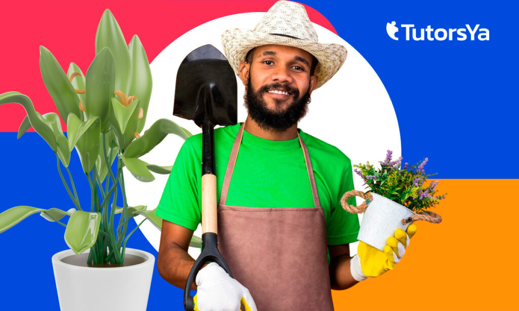 Curso de jardinería gratis: últimas plazas con certificado SEPE